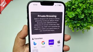 How To Turn On Private Browsing on Safari in iPhone iOS 18 [upl. by Fugazy]