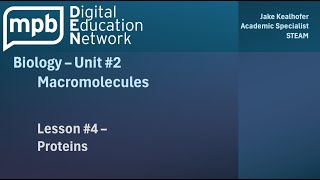 MPB Biology Unit 2 Lesson 4 Proteins [upl. by Lerrej843]