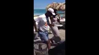 Dancing with Tony Macaroni in Freeport Bahama [upl. by Atikcir]