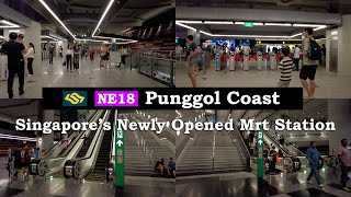 Just in Punggol Coast Mrt  Singapores Newest Mrt Station Opened  Public Transport  World Class [upl. by Reiter]