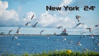 Ultimate Family Fun Boating Fishing amp Niagara Falls in New York [upl. by Mosora]