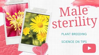 Male sterility  Pollination control method in plant breeding [upl. by Dibbell]