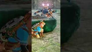 Duo bokoblin vs blue bokoblin zelda tears of the kingdom [upl. by Dyoll]