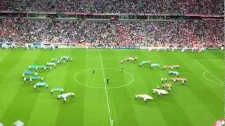 Opening Champions League Munich Bayern Munich  Chelsea  tifo Bayern [upl. by Foscalina]