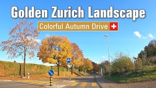 Golden Zurich Landscape 4K 🍂 AutumnFall Colors – Driving in Switzerland 🇨🇭 [upl. by Netniuq]