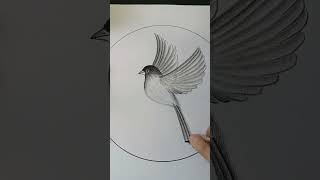 Birds with fly wings 🦅🦅 shorts short youtubeshorts art drawing bird [upl. by Ahswat]