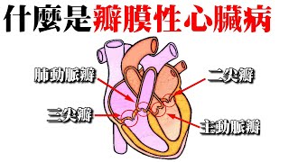 心臟衰竭，什麼是心臟瓣膜疾病｜許原彰醫師：高雄宇成診所 [upl. by Thecla639]