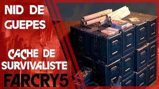 Far Cry 5  Cache de survivaliste  Nid de guêpes [upl. by Kavanagh640]