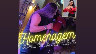 homenagem paulinha abelha  marlus viana [upl. by Atsylac]