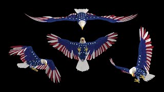 American Eagle in USA Flag Colors  Flying Attacks [upl. by Alicsirp]