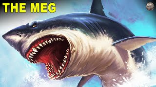 The Megalodon A Prehistoric Giant Shark That Ruled the Seven Seas [upl. by Sivatnod]