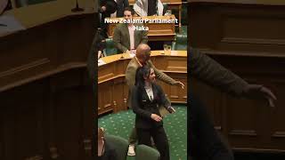 New zealand haka protest  Hanarawhiti maipi performed traditional maori dance in parliament [upl. by Schick218]