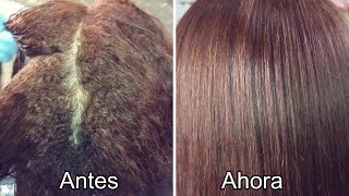 🥇💆🏻‍♀️Como Poner la Cirugía Capilar Marroquina Chocolate en el Cabello 100 Fácil y Rápido✅ [upl. by Nile]