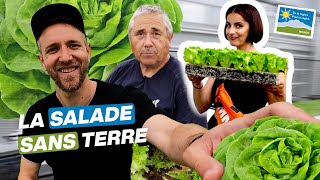 DE LA RÉGION  La salade sans terre [upl. by Maletta]