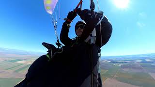 WedgeTailed Eagle Attacks Paraglider over Dalby QLD Australia [upl. by Tanya]