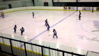 Watching the Kids play Ringette [upl. by Seravaj]