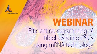 Efficient reprogramming of fibroblasts into iPSCs using mRNA technology WEBINAR [upl. by Pippa788]