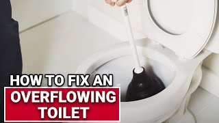 How To Fix An Overflowing Toilet  Ace Hardware [upl. by Aehsa]