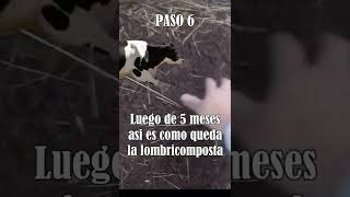 Como alimentar lombriz con estiércol de vaca shorts lombricomposta estiercoldevaca vermicomposta [upl. by Odravde]