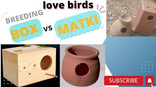 love bird breeding box ya matki  Love bird breed k lye box ya matki [upl. by Ime]