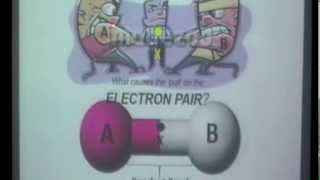 Electronegativity and Polarity [upl. by Justinian34]