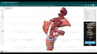 L9 ANATOMY Pharynx [upl. by Dinin85]