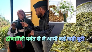 द्रोणागिरी पर्वत से जड़ी बूटी लाई महिला ¡ Dronagiri Parvat Ki जड़ी बूटी herbs [upl. by Hollis]