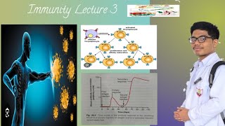 Primary and Secondary Response of Immune System [upl. by Lana]