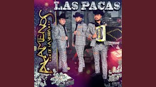 Las Pacas [upl. by Fredra]