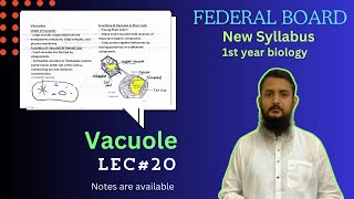 Vacuole  Vacuole structure and function  class 11 [upl. by Ojyram403]