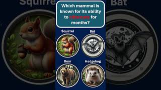 Which Mammal Hibernates for Months 💤🐻  Fascinating Animal Facts [upl. by Swagerty]