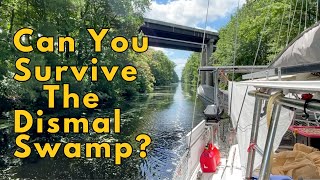 What You Need to Know About the Dismal Swamp [upl. by Sisi]