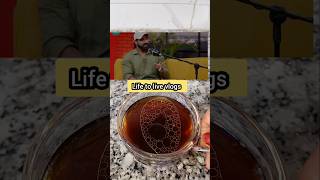 Viral Coach Nitesh Soni s morning drink recipe niteshsoni shortvideo shorts recipe weightloss [upl. by Alyahsat222]