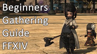 Beginners Guide To Gathering Level 80  FFXIV [upl. by Naujtna]