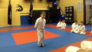 A Typical Childrens Karate Class ages 47 at Arashi Do Martial Arts [upl. by Hollander]