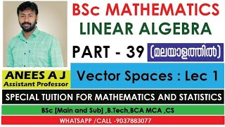 Vector Spaces Lec1  Linear Algebra  BSc Mathematics  Kerala University  Malayalam [upl. by Enairda]