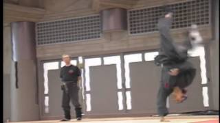 Bujinkan Dublin  Bujinkan Shugyō Dōjō  Ukemi Taihenjutsu [upl. by Oisacin]