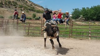 Gary Leffew Bull Riding School Student Bull Riding Compilation Part 12 [upl. by Fiertz329]