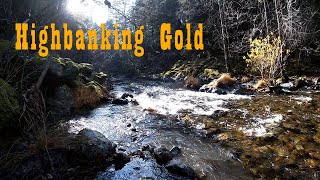 Highbanking Ancient Gravels for Gold [upl. by Revilo]