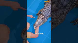 How To Escape An Alligator Death Roll😨shorts part 134 [upl. by Nomad277]