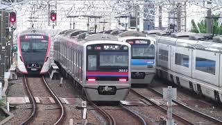 Railway Races in Japan [upl. by Rafaello]