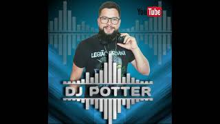 RETROTON MIX BAILE POTTER MIX DJ [upl. by Aipotu]