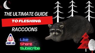 The Ultimate Guide to Fleshing Raccoons [upl. by Ekyt288]