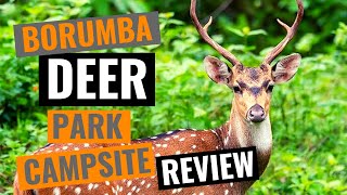 Borumba Deer Park  Imbil  Queensland  Campsite Review  Imbil State Forest 4x4 [upl. by Ahsinar]