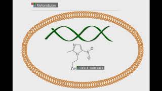 Metronidazole animation video [upl. by Rettke]