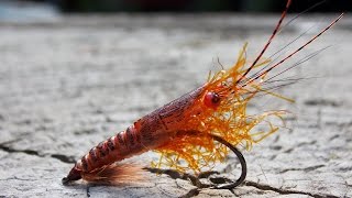 Martin Shrimp  simple and realistic fly tying instructions by Ruben Martin Orange version [upl. by Teragramyram]