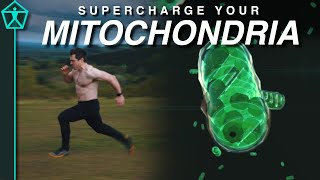 How to Supercharge Your Mitochondria for Energy Endurance and Longevity  A Comprehensive Guide [upl. by Gerda334]