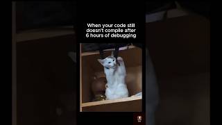 My code is not meowing anymore 🥺 coding programming javascript vscode csshtml pythonmemes [upl. by Klepac18]