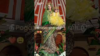 nee pogatha yennavittu whatsapp status avemaria stmarysbasilica mothermary ‎‎sasproduction27 [upl. by Esoryram]