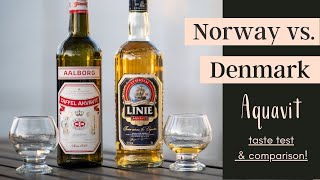 What Does Aquavit Taste Like  AQUAVIT TASTE TEST [upl. by Tomlinson330]